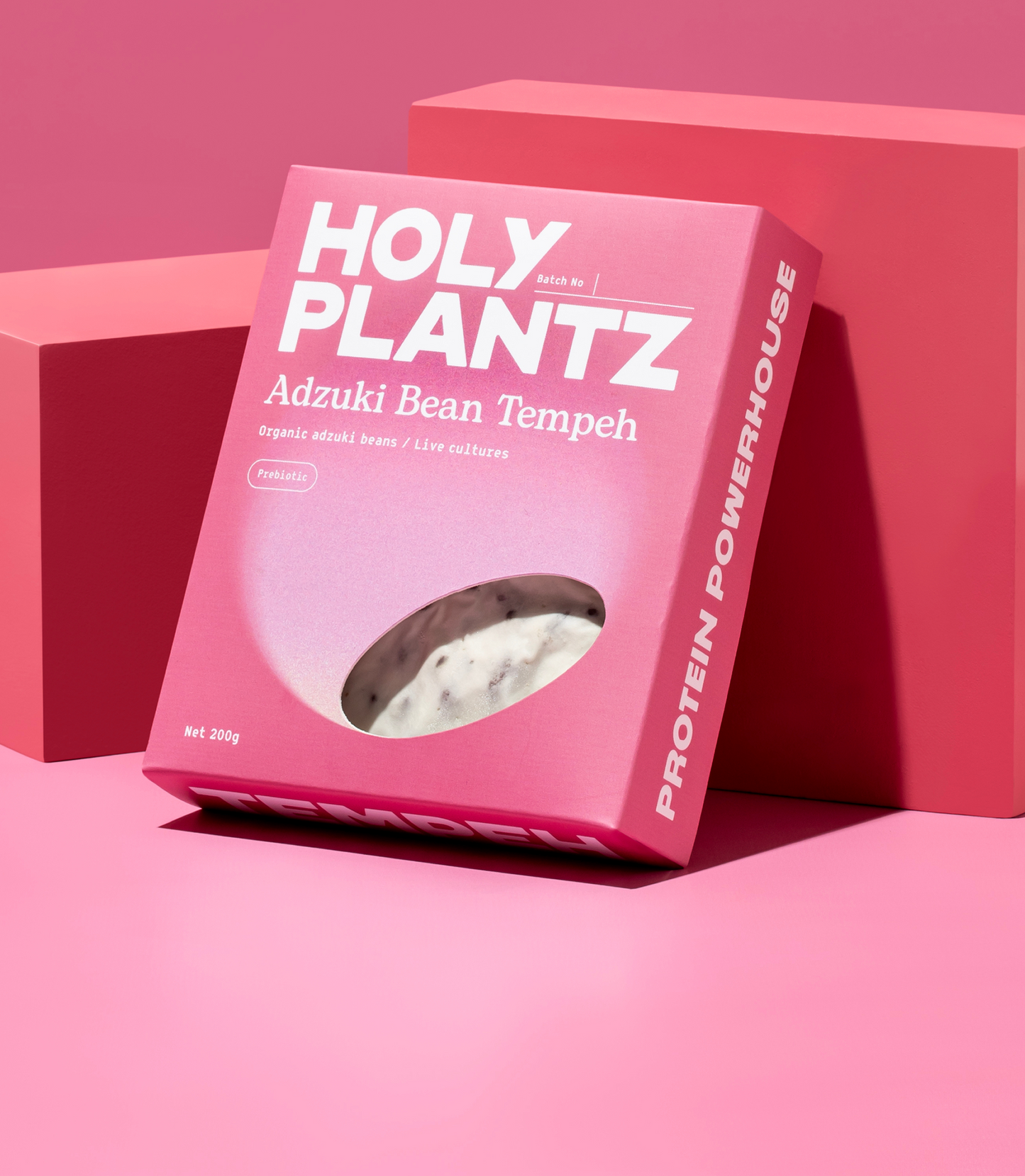 Adzuki Bean Tempeh