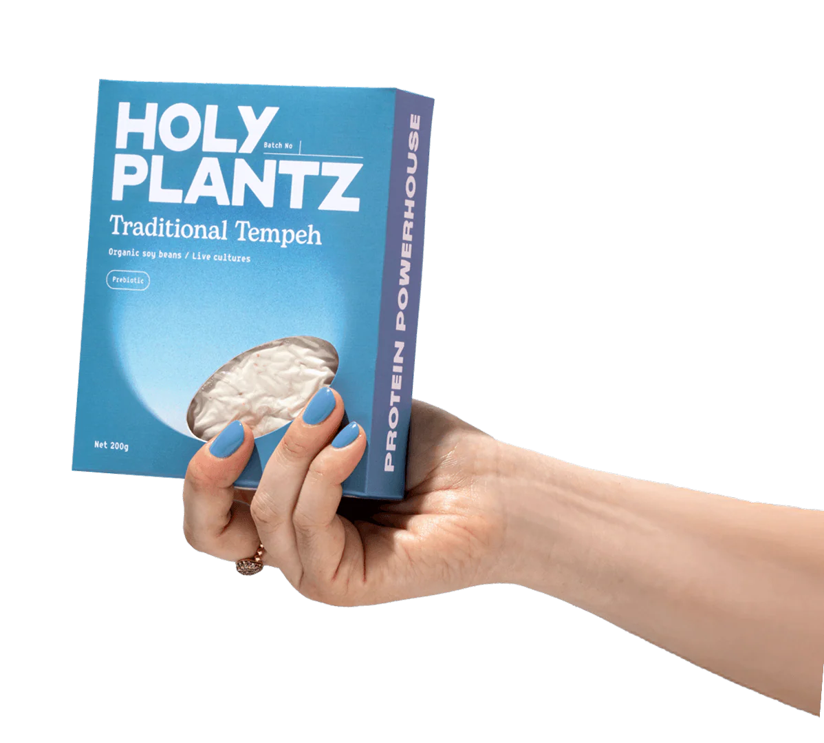 הטמפה המקורי